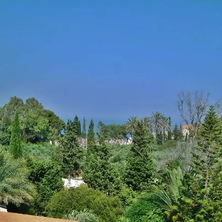 Lemon Garden Hotel